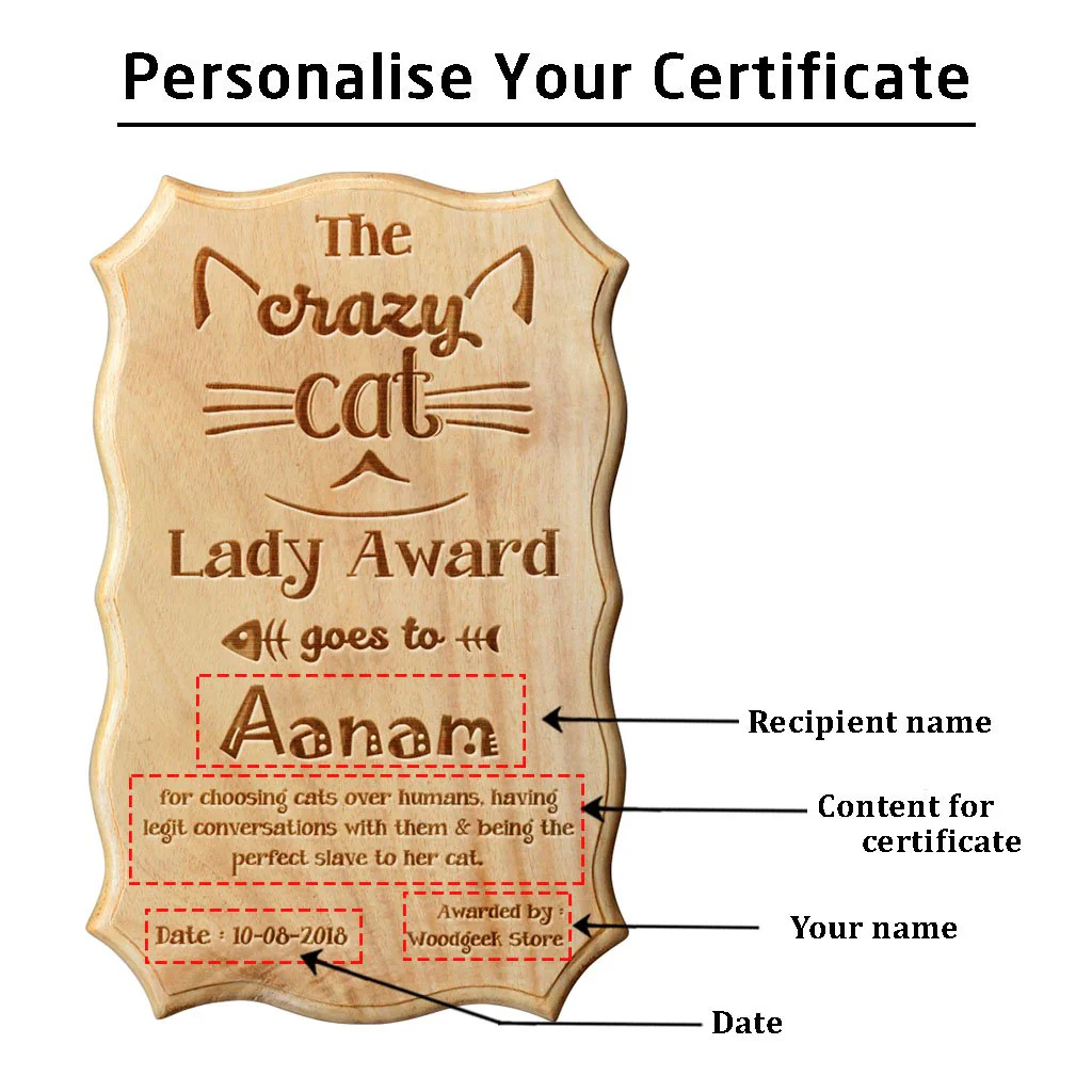 The Crazy Cat Lady/Lover Funny Recognition Award - Image 4
