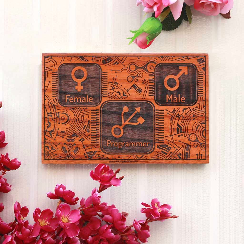 Male Female Programmer Engraved Wood Sign