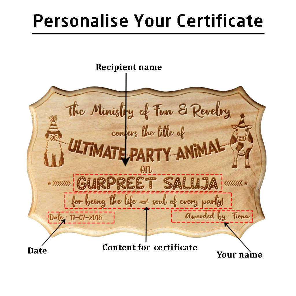 The Ultimate Party Animal Funny Award Certificate - Image 3